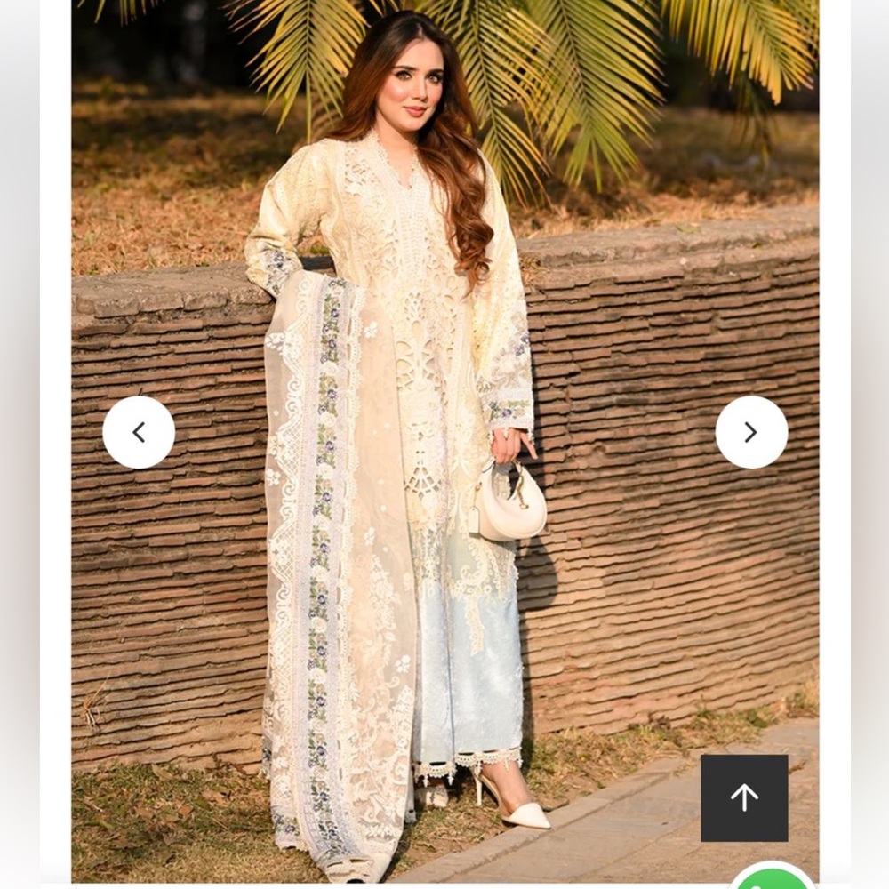 Elegant Pakistani Embroidered Allys Dress